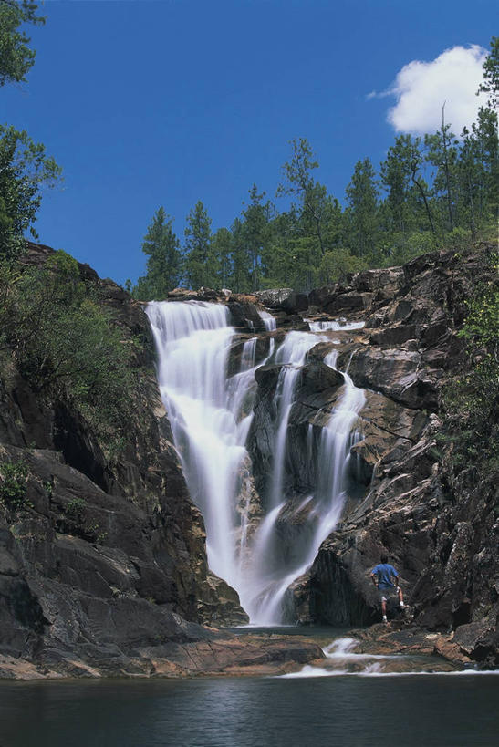 成年人,一个人,站,竖图,室外,白天,旅游,度假,美景,瀑布,森林,山,松树,伯利兹,仅一个男性,行人,游客,游人,短裤,朦胧,模糊,景观,云,图像,休闲装,娱乐,手叉腰,路人,旅客,背面,衣服,风景,天空,自然,地标建筑,叉腰,看,享受,休闲,概念,景色,放松,摄影,观看,宁静,年龄,中美洲,双手叉腰,岩层,自然风光,主题,美洲,自然现象,野地,视角,地貌,构图,野生动物保护区,过客,岩石,外衣,针叶树,彩图,旅行,时空,林区