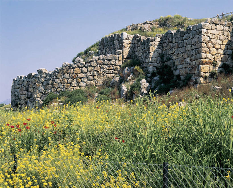 无人,横图,室外,白天,仰视,植物,建筑,希腊,欧洲,阴影,围墙,图像,历史,石墙,天空,自然,摄影,考古学,人造,地中海文化,南欧,主题,视角,万里无云,构图,古希腊,古代文明,伯罗奔尼撒,中部希腊大区,提那雅恩斯,彩图,低角度拍摄,旅行,时空,传统文化,状态