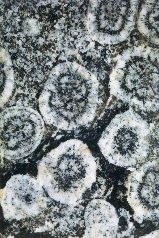 无人,竖图,特写,背景,图像,自然,摄影,主题,自然现象,构图,火成岩,式样,地质学,矿物质,自然地理,岩石,彩图,全画面,全框架,全帧,闪长岩,全画幅