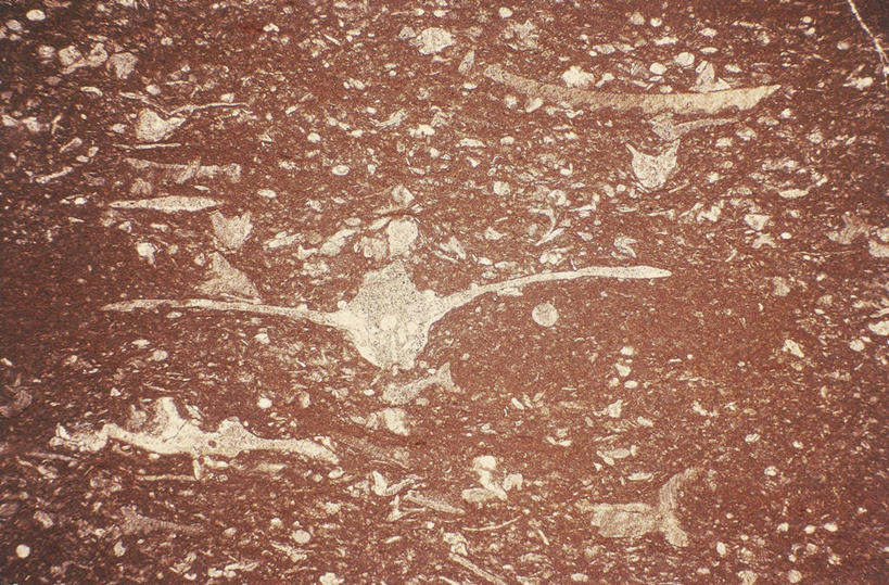 无人,横图,特写,背景,石头,山,山脉,意大利,矿石,石子,山峰,褐色,山峦,图像,自然,群山,摄影,矿山,南欧,矿物,主题,自然现象,采集,开采,意大利文化,采石场,沉积岩,贝加莫,伦巴第大区,构图,石灰石,侏罗纪,地质学,矿物质,自然地理,石块,岩石,彩图,全画面,全框架,全帧,采掘,全画幅