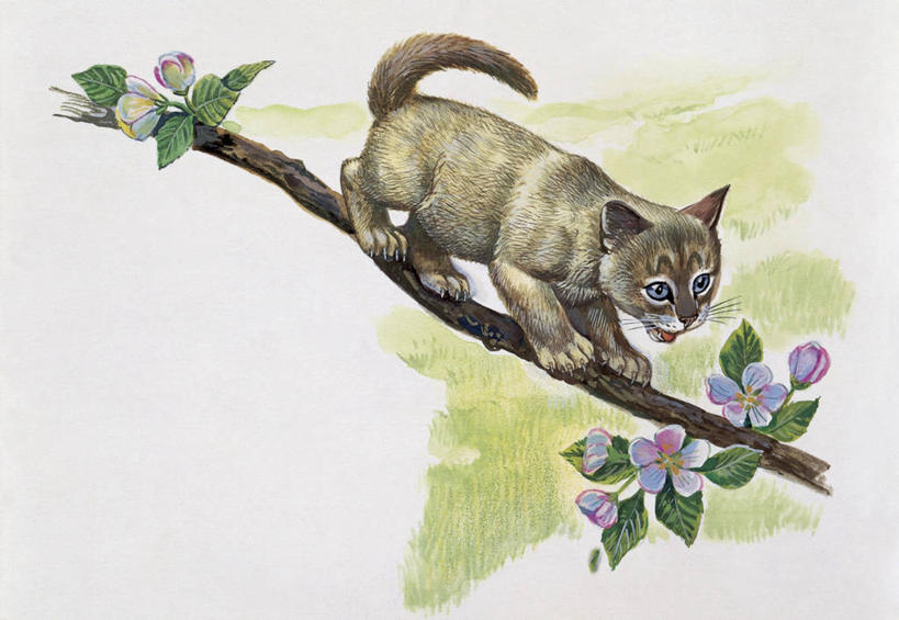 无人,横图,插画,特写,白色背景,数码,科技,植物,哺乳动物,宠物,野生动物,阴影,科学,网络,暹罗猫,枝,小猫,高光,几何,计算机图形,合成,图像,图画,画,花,树,白色,动物,生物,家畜,电脑合成图,数码合成图,生物学,合成图,野猫,主题,猫科动物,漫画,计算机制图,写实,具体,具象,构图,非洲野猫,步行,彩图,动物学,纯种猫,脊椎动物亚门