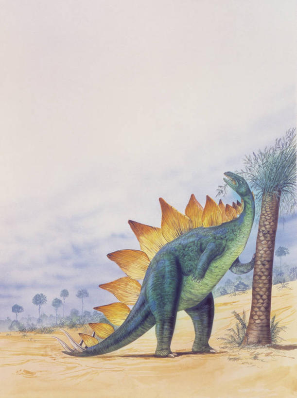 无人,吃,竖图,插画,室外,白天,侧面,数码,科技,植物,哺乳动物,野生动物,阴影,科学,网络,高光,几何,计算机图形,合成,图像,图画,历史,画,树,树干,天空,动物,概念,生物,恐龙,食草动物,电脑合成图,数码合成图,生物学,合成图,主题,自然现象,漫画,视角,偶蹄目,计算机制图,剑龙,写实,具体,具象,构图,侏罗纪,古代史,进化,地质学,史前时代,彩图,时空,动物学,过去,古生物学,脊椎动物亚门