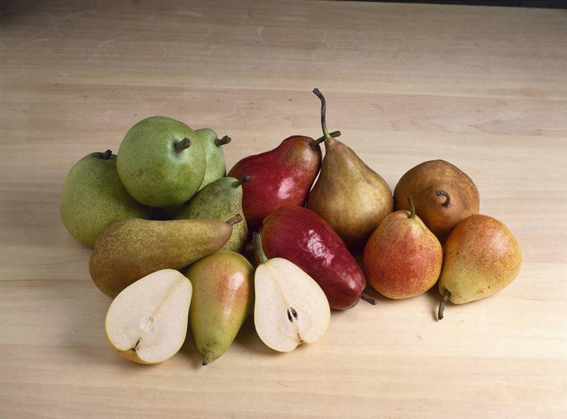 无人,横图,俯视,室内,梨,静物,水果,饮食,摄影,多样,清新,选择,健康食物,彩图,高角度拍摄