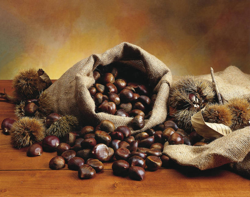 无人,横图,室内,特写,桌子,静物,许多,栗子,很多,饮食,摄影,彩图