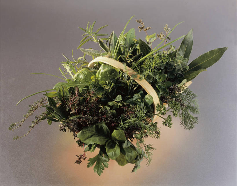 无人,横图,室内,特写,静物,叶子,串,捆,饮食,绿色,摄影,欧芹,多样,鼠尾草,草本,健康食物,彩图,影棚拍摄