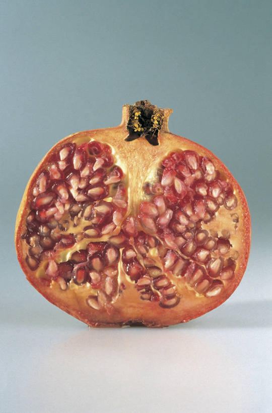 无人,竖图,室内,特写,石榴,静物,水果,种子,饮食,摄影,有机食品,横截面,健康食物,彩图,影棚拍摄