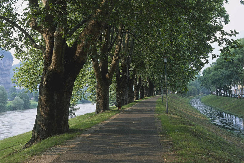 无人,横图,室外,白天,河流,路,意大利,欧洲,阴影,草,树,天空,自然,运输,摄影,地中海文化,南欧,意大利文化,意大利共和国,特伦蒂诺.上阿迪杰大区,彩图,阿迪杰河,林荫大道