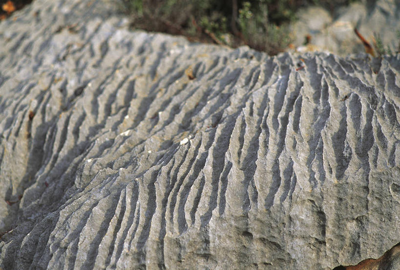 无人,横图,室外,特写,白天,意大利,欧洲,喀斯特,自然,摄影,岩层,地中海文化,自然现象,钟乳石,肌理,石灰石,地质学,撒丁岛,自然地理,岩石,彩图