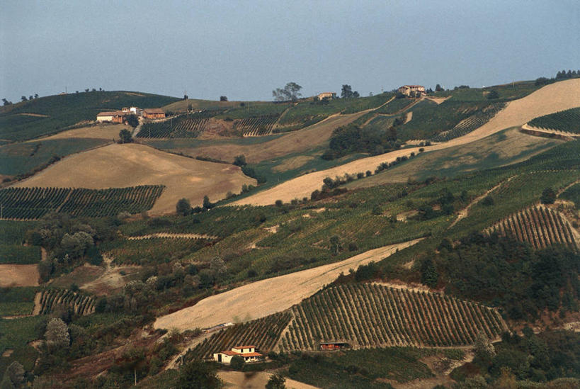 无人,农场,横图,俯视,室外,白天,农业,美景,意大利,地形,景观,田地,乡村,树,风景,自然,景色,摄影,宁静,地中海文化,自然风光,意大利文化,万里无云,乌比诺,彩图,高角度拍摄