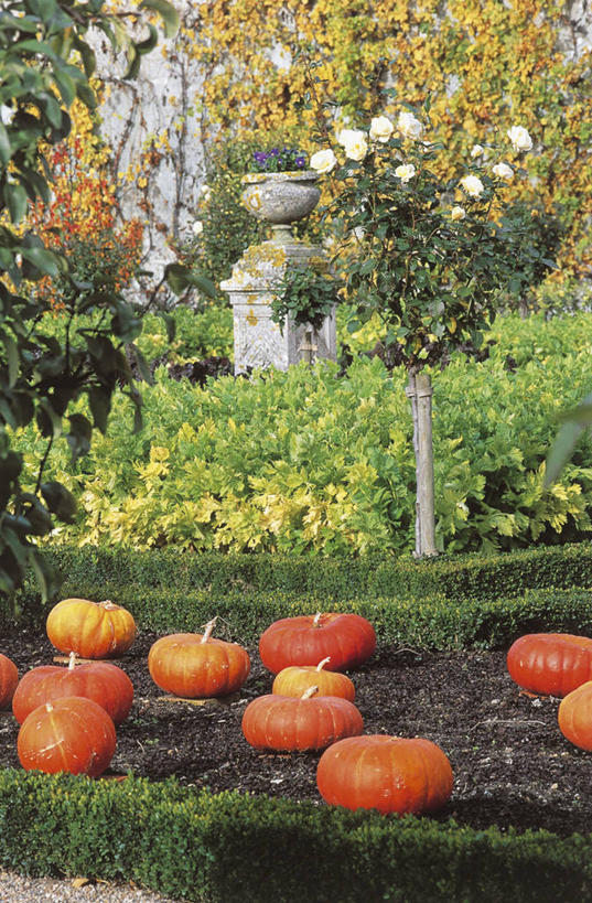 无人,竖图,室外,白天,旅游,度假,美景,建筑,南瓜,蔬菜,叶子,法国,欧洲,城堡,景观,食品,历史,娱乐,饮食,树,绿色,自然,享受,休闲,木桩,景色,放松,摄影,国家公园,地中海文化,自然风光,健康食物,维朗德里城堡,彩图,维朗德里,过去