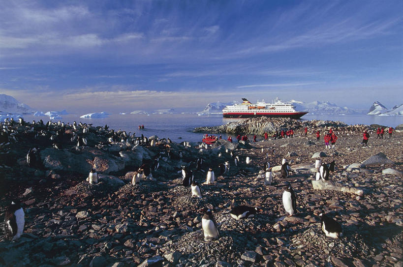 无人,横图,室外,白天,旅游,度假,海洋,美景,船,哺乳动物,海鸟,企鹅,野生动物,一群,许多,地形,海岸线,景观,水平线,云,很多,娱乐,天空,自然,动物,邮轮,享受,休闲,景色,放松,运输,摄影,自然风光,南极洲,巴布亚企鹅,库佛维尔岛,海滩,彩图,旅行,动物学