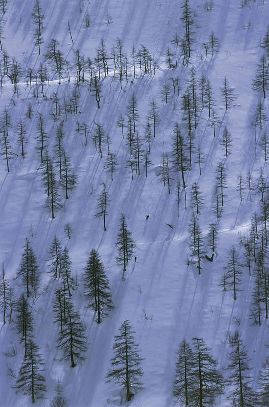 无人,竖图,俯视,室外,白天,旅游,度假,美景,山,雪,意大利,欧洲,地形,景观,冬天,娱乐,树,白色,风景,自然,享受,休闲,景色,放松,寒冷,季节,摄影,宁静,地中海文化,自然风光,意大利文化,大帕拉迪索国家公园,彩图,高角度拍摄