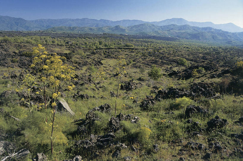 无人,横图,室外,白天,旅游,度假,美景,山,山脉,意大利,欧洲,地形,景观,娱乐,草,风景,天空,自然,享受,休闲,景色,放松,摄影,宁静,西西里,地中海文化,自然风光,意大利文化,埃特纳火山,岩石,彩图