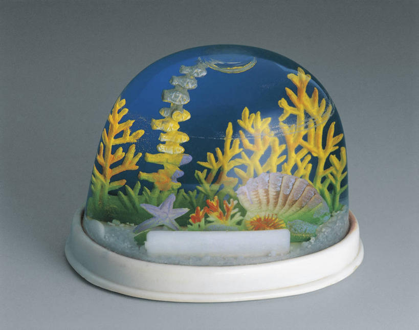 游泳,无人,横图,室内,特写,水下,海洋,水,植物,海星,热带鱼,玩具,雕塑,加勒比海,艺术,装饰,透明,雕刻,雕像,符号,珊瑚,商品,文字,岛,鱼类,无脊椎动物,一个,绿色,风景,自然,动物,纪念品,工艺品,大西洋,摄影,生长,单个,成长,纪念,英文字母,珊瑚鱼,美术,创造力,西印度群岛,记忆,主题,美洲,咸水鱼,棘皮动物,陈列,刺胞动物,功能,美学,雪花球,大堡礁,想法,大写字母,暗礁,彩图,影棚拍摄