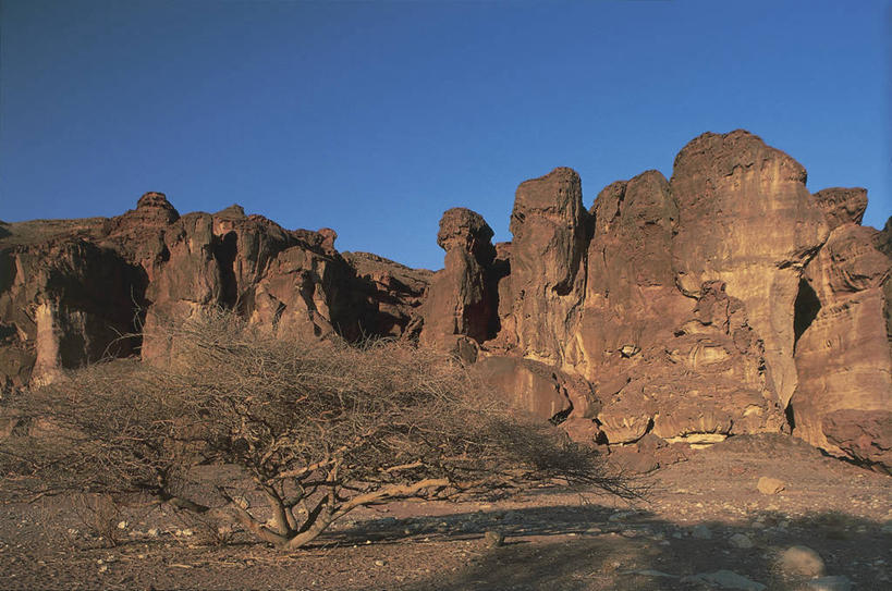 无人,横图,室外,白天,旅游,度假,美景,沙漠,以色列,亚洲,粗糙,地形,景观,娱乐,树,天空,自然,地标建筑,享受,休闲,景色,放松,摄影,宁静,考古学,毛糙,气候,中东,岩层,自然风光,沉积岩,万里无云,内盖夫,内格夫沙漠,沙岩,自然地理,岩石,彩图,旅行,粗拙