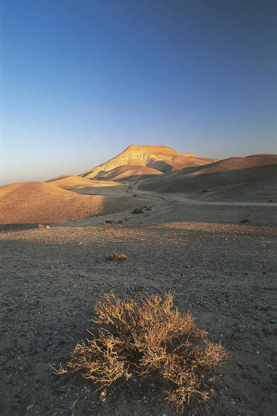 无人,竖图,室外,白天,旅游,度假,海洋,美景,沙漠,山,水,以色列,亚洲,沙子,地平线,地形,景观,辽阔,地面,娱乐,天空,自然,享受,休闲,广阔,景色,放松,摄影,灌木,宁静,一望无际,考古学,气候,中东,自然风光,延伸,万里无云,天地相交,无边无际,一马平川,死海,地质学,马萨达,自然地理,彩图,旅行