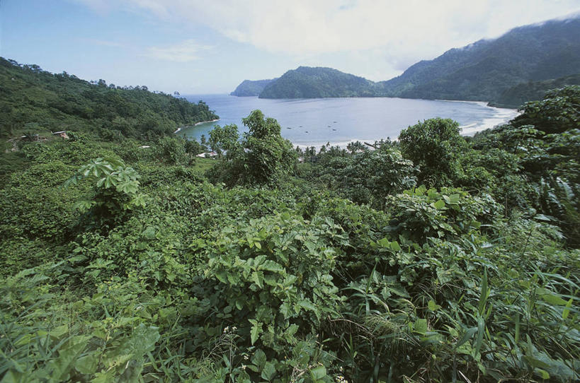 无人,横图,室外,白天,旅游,度假,海洋,美景,森林,山,水,加勒比海,特立尼达和多巴哥,岛,河岸,景观,云,海湾,娱乐,树,绿色,风景,天空,自然,享受,休闲,景色,大西洋,放松,摄影,宁静,西印度群岛,自然风光,美洲,小安的列斯群岛,安的列斯群岛,自然地理,彩图,旅行