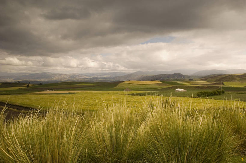 无人,横图,室外,白天,旅游,度假,火山,美景,山,山脉,植物,厄瓜多尔,地平线,地形,景观,田地,云,辽阔,地面,娱乐,草,风景,天空,自然,平原,享受,休闲,广阔,景色,南美,放松,摄影,宁静,一望无际,环境,南美洲,拉丁美洲,自然风光,延伸,美洲,天地相交,亚美利加洲,南亚美利加洲,厄瓜多尔共和国,无边无际,一马平川,死火山,彩图,旅行,钦博拉索山