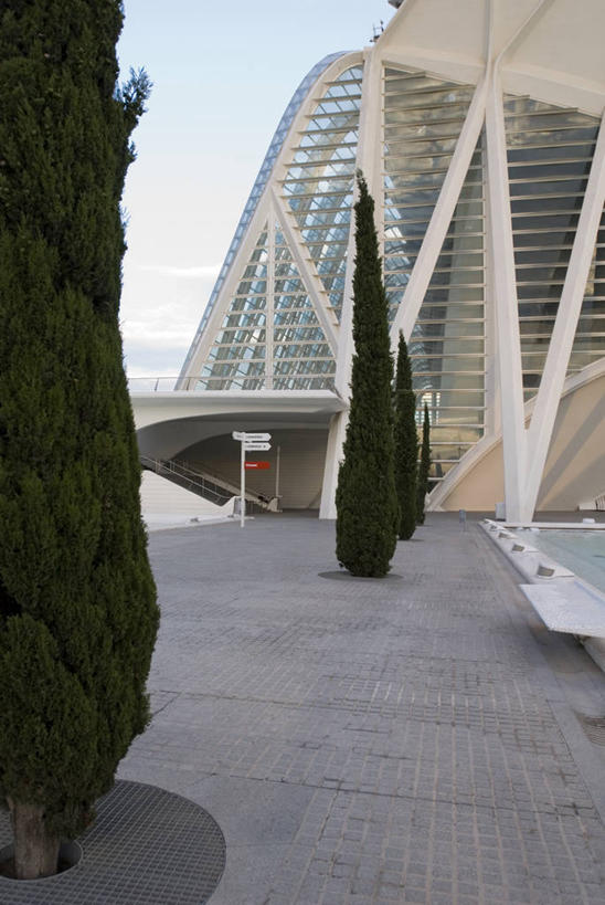 无人,工程师,建筑师,博物馆,竖图,室外,白天,城市,建筑,西班牙,欧洲,首都,现代,树,天空,地标建筑,摄影,峭壁,地中海文化,都市风光,伊比利亚半岛,管理,巴伦西亚省,建筑工程师,设计,彩图,旅行,艺术科学城,画则师,图则师,则师,评估,人员,圣地亚哥.卡拉特拉瓦