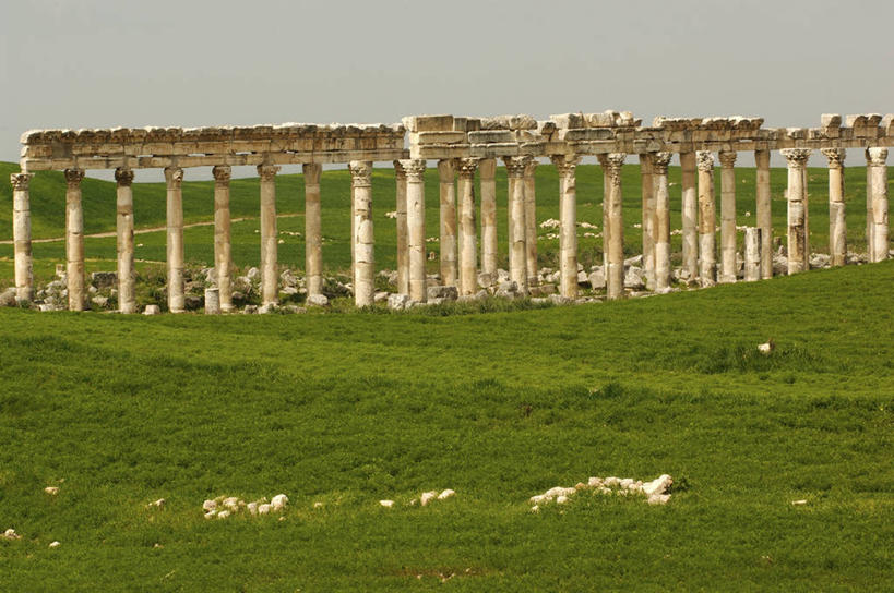 太阳穴,无人,横图,室外,白天,建筑,叙利亚,亚洲,一排,整齐,柱子,地形,历史,破坏,古罗马,破损,废墟,草,排列,天空,摄影,宗教,损坏,考古学,中东,宗教建筑,要塞,地中海文化,队列,古典风格,古代文明,柱廊,古代史,彩图,旅行,阿帕米亚,过去