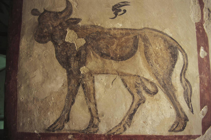 无人,站,横图,绘画,建筑,牛,埃及,艺术,古典,文化,壁画,动物,工艺品,品味,家畜,摄影,宗教,牲畜,美术,高雅,中东,基督教,北非,埃及文化,美学,母牛,亚历山大港,彩图