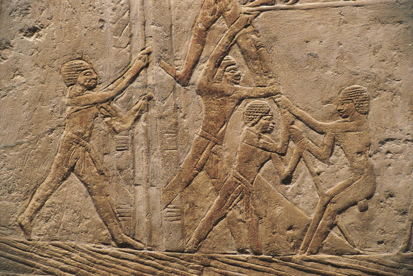 无人,横图,侧面,合作,团队,建筑,雕塑,埃及,开罗,五个人,标志,符号,联合国,肉,食品,首都,标识,饮食,职业,摄影,坟墓,中东,北非,萨卡拉,杀害,性别符号,古埃及文明,古代文明,屠宰场,彩图,浅浮雕,男性符号,联合国教科文组织