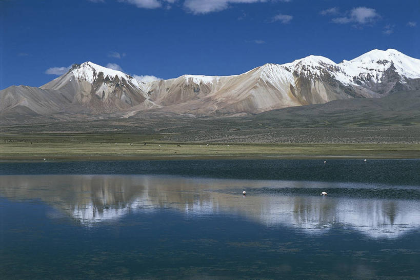 无人,横图,室外,白天,湖,火山,山,山脉,雪,雪山,智利,反射,地形,山顶,宏伟,风景,自然,南美,摄影,宁静,国家公园,安地斯山脉,朗卡国家公园,自然地理,彩图,旅行,联合国教科文组织