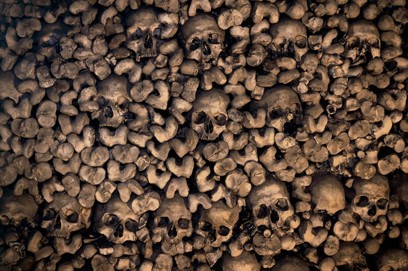 颅骨,骨骼,无人,横图,室内,特写,白天,葡萄牙,丰富,人头骨,墙,褐色,历史,人体,摄影,怪异,伊比利亚半岛,惊骇,灵性,阿连特茹,埃武拉,彩图,全画面,全框架,全帧,全画幅,传统文化,联合国教科文组织