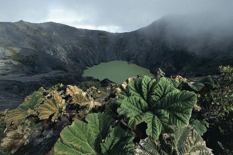 无人,横图,室外,白天,旅游,度假,火山,美景,植物,雾,叶子,哥斯达黎加,蒸汽,地形,火山口,景观,娱乐,自然,享受,休闲,景色,放松,摄影,北美,北美洲,国家公园,中美洲,自然风光,美洲,北亚美利加洲,亚美利加洲,哥斯达黎加共和国,地质学,卡塔戈,自然地理,活火山,彩图,火山学,郊野公园