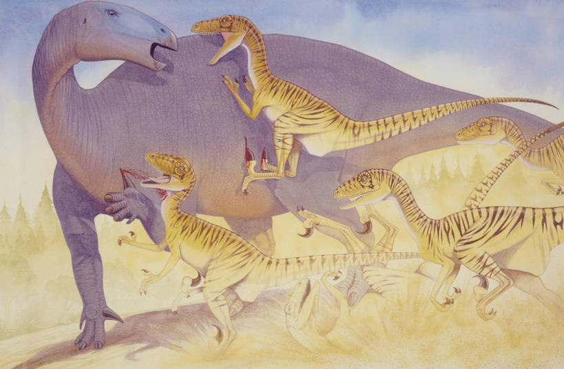 无人,站,跳,横图,插画,室外,白天,数码,科技,野生动物,对抗,咬,阴影,冲突,网络,捕食,高光,几何,计算机图形,合成,图画,历史,画,自然,动物,抓,血液,恐龙,环境,电脑合成图,数码合成图,咬着,暴力,合成图,打斗,进攻,漫画,写实,具体,具象,古代史,地质学,史前时代,恐爪龙,彩图,中生代,过去,古生物学