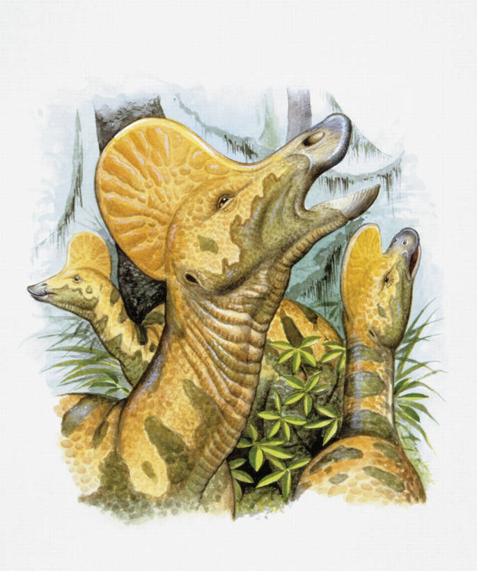 无人,竖图,插画,数码,科技,野生动物,三只,阴影,网络,高光,几何,计算机图形,合成,图画,历史,画,自然,动物,看,向上看,恐龙,环境,电脑合成图,数码合成图,合成图,漫画,写实,具体,具象,冠龙,古代史,地质学,史前时代,彩图,中生代,白垩系,过去,古生物学