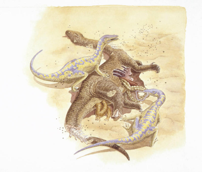 无人,吃,横图,俯视,插画,数码,科技,野生动物,三只,阴影,网络,沙子,高光,几何,计算机图形,合成,图画,历史,画,自然,动物,恐龙,环境,电脑合成图,数码合成图,合成图,漫画,远古,写实,具体,具象,三叠纪,古代史,地质学,史前时代,彩图,高角度拍摄,年代,食物链,地质年代,地质时代,时代,显生宙,中生代,过去,古生物学