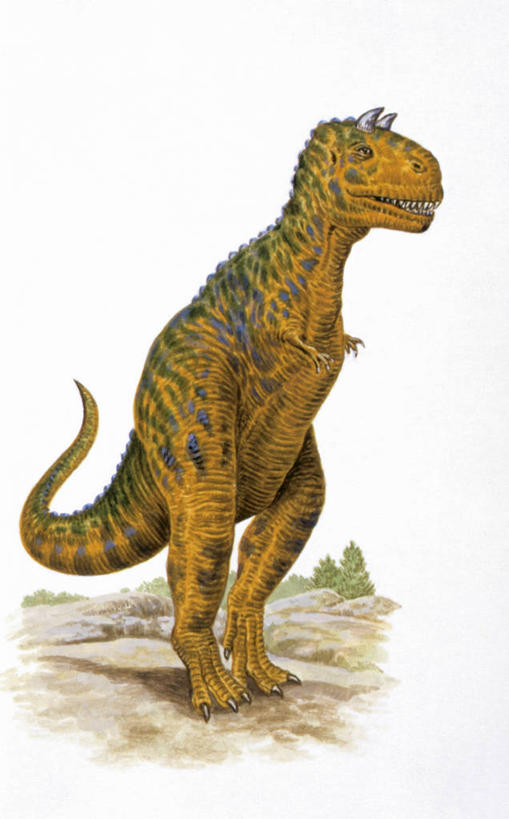 无人,站,竖图,插画,室外,白天,数码,科技,野生动物,阴影,网络,高光,几何,计算机图形,合成,图画,历史,画,动物,恐龙,电脑合成图,数码合成图,合成图,漫画,写实,具体,具象,食肉牛龙,古代史,地质学,史前时代,彩图,中生代,白垩系,过去,古生物学