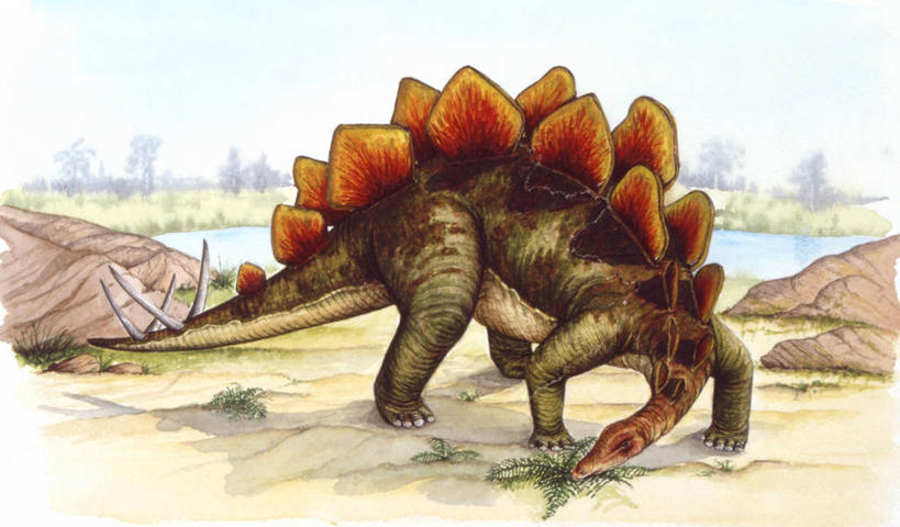 无人,站,吃,横图,插画,室外,白天,数码,科技,野生动物,阴影,网络,高光,几何,计算机图形,合成,图画,历史,画,草,自然,动物,恐龙,环境,电脑合成图,数码合成图,合成图,漫画,剑龙,写实,具体,具象,侏罗纪,古代史,地质学,史前时代,彩图,中生代,过去,古生物学