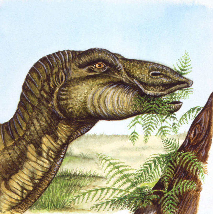 无人,吃,竖图,方图,插画,室外,特写,白天,数码,科技,植物,野生动物,叶子,阴影,网络,高光,几何,计算机图形,合成,图画,历史,画,自然,动物,恐龙,食草动物,环境,电脑合成图,数码合成图,合成图,漫画,偶蹄目,写实,具体,具象,古代史,地质学,咀嚼,史前时代,彩图,中生代,白垩系,过去,古生物学