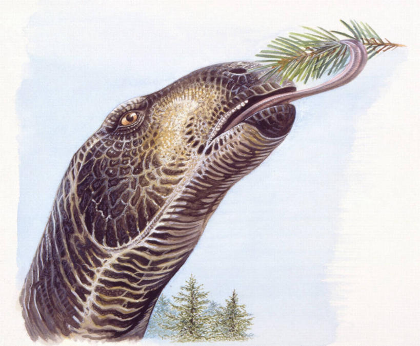 无人,吃,横图,插画,室外,特写,白天,数码,科技,野生动物,叶子,阴影,网络,枝,高光,几何,计算机图形,合成,图画,历史,画,自然,动物,舔,恐龙,食草动物,环境,电脑合成图,数码合成图,合成图,漫画,偶蹄目,写实,具体,具象,禽龙,古代史,地质学,史前时代,彩图,白垩系,过去,古生物学