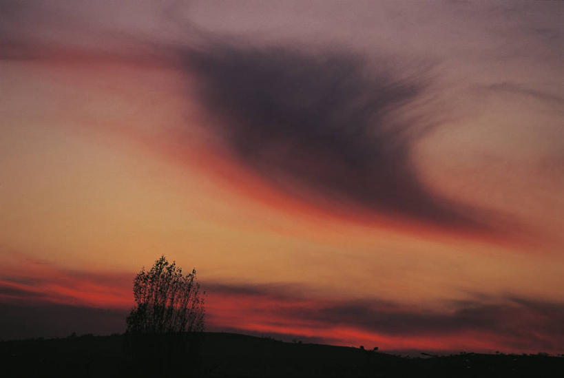 无人,横图,室外,仰视,旅游,度假,美景,日落,欧洲,土耳其,亚洲,景观,云,娱乐,树,天空,自然,黄昏,享受,休闲,景色,放松,摄影,环境,中东,自然风光,西亚,卡帕多西亚,安纳托利亚,小亚细亚,卡帕多奇亚,自然地理,彩图,低角度拍摄,格雷梅,土耳其共和国,安那托利亚,小亚细亚半岛