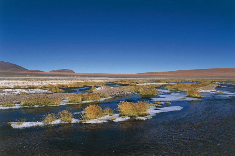 无人,横图,室外,白天,旅游,度假,草原,美景,沙漠,雪,智利,地平线,地形,景观,流水,辽阔,地面,娱乐,草,天空,小溪,自然,享受,休闲,广阔,景色,南美,放松,摄影,灌木,一望无际,南美洲,气候,拉丁美洲,自然风光,延伸,美洲,干的,万里无云,天地相交,间歇泉,亚美利加洲,南亚美利加洲,智利共和国,无边无际,一马平川,地质学,安托法加斯塔大区,自然地理,彩图