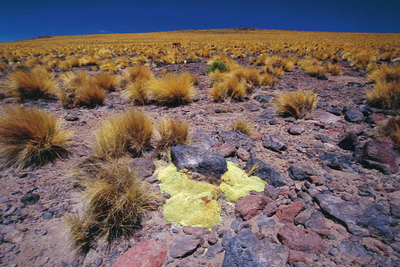 无人,横图,室外,白天,广角镜头,旅游,度假,草原,美景,沙漠,智利,地形,景观,云,娱乐,草,天空,自然,平原,享受,休闲,景色,南美,放松,摄影,灌木,南美洲,气候,拉丁美洲,岩层,自然风光,美洲,亚美利加洲,南亚美利加洲,智利共和国,安托法加斯塔大区,自然地理,岩石,彩图,广角