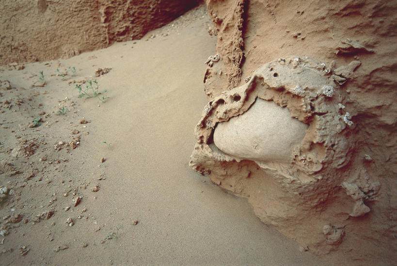 无人,横图,室外,白天,旅游,度假,美景,沙漠,蒙古,化石,沙子,地形,景观,历史,娱乐,自然,动物,享受,休闲,景色,放松,摄影,恐龙,气候,岩层,自然风光,东亚,沉积岩,戈壁滩,卵,古代史,地质学,沙岩,史前时代,自然地理,岩石,恐龙蛋,彩图,古生物学