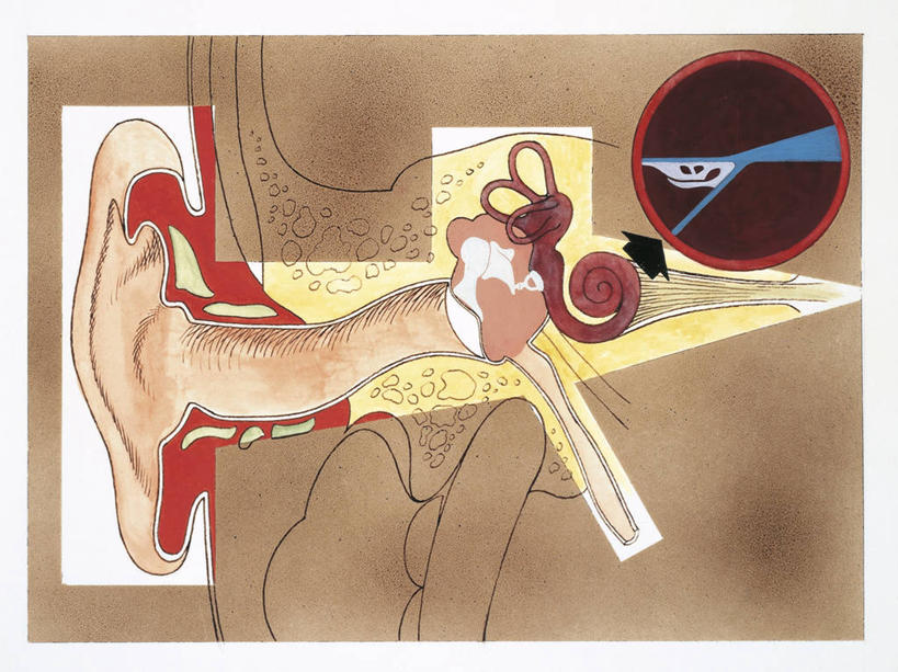耳朵,无人,横图,插画,数码,科技,阴影,科学,网络,图表,高光,几何,计算机图形,听,合成,图画,画,人体,部分,电脑合成图,数码合成图,生物学,合成图,漫画,耳蜗,写实,具体,具象,内耳,内听道,人体结构,耳,耳部,彩图,感知