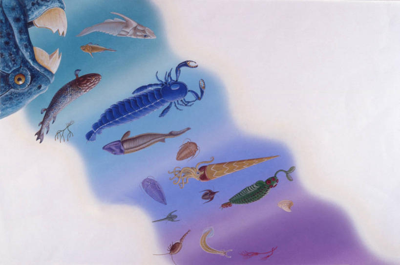 无人,横图,插画,数码,科技,野生动物,阴影,网络,高光,几何,计算机图形,合成,图画,历史,鱼类,画,自然,环境,电脑合成图,数码合成图,合成图,漫画,写实,具体,具象,古代史,地质学,史前时代,彩图,食物链,古生代,过去,古生物学