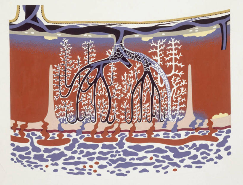 无人,横图,竖图,插画,数码,科技,阴影,网络,高光,几何,计算机图形,合成,图画,画,电脑合成图,数码合成图,生物学,合成图,横截面,漫画,胎盘,写实,具体,具象,人体结构,彩图