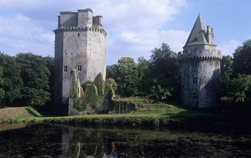 无人,横图,室外,白天,湖,建筑,法国,城堡,纪念碑,塔,八边形,历史,废墟,树,摄影,布列塔尼,中欧,古代文明,莫尔比昂省,彩图,时代