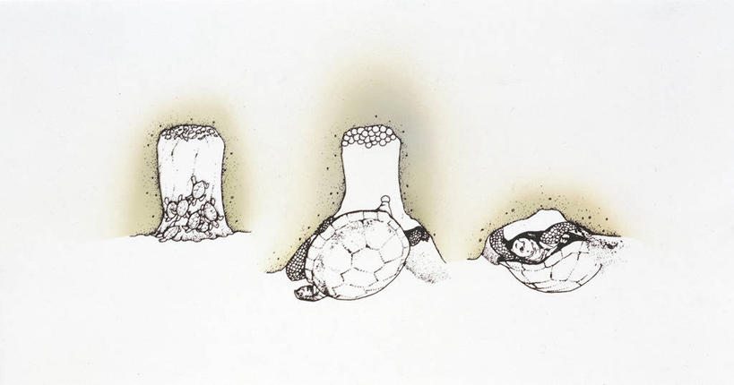 无人,横图,插画,室外,数码,科技,野生动物,贝壳,阴影,科学,网络,高光,几何,计算机图形,合成,图画,画,自然,动物,两只,米色,环境,挖掘,电脑合成图,数码合成图,生物学,合成图,漫画,绿蠵龟,写实,具体,具象,产卵,海龟,彩图,动物学