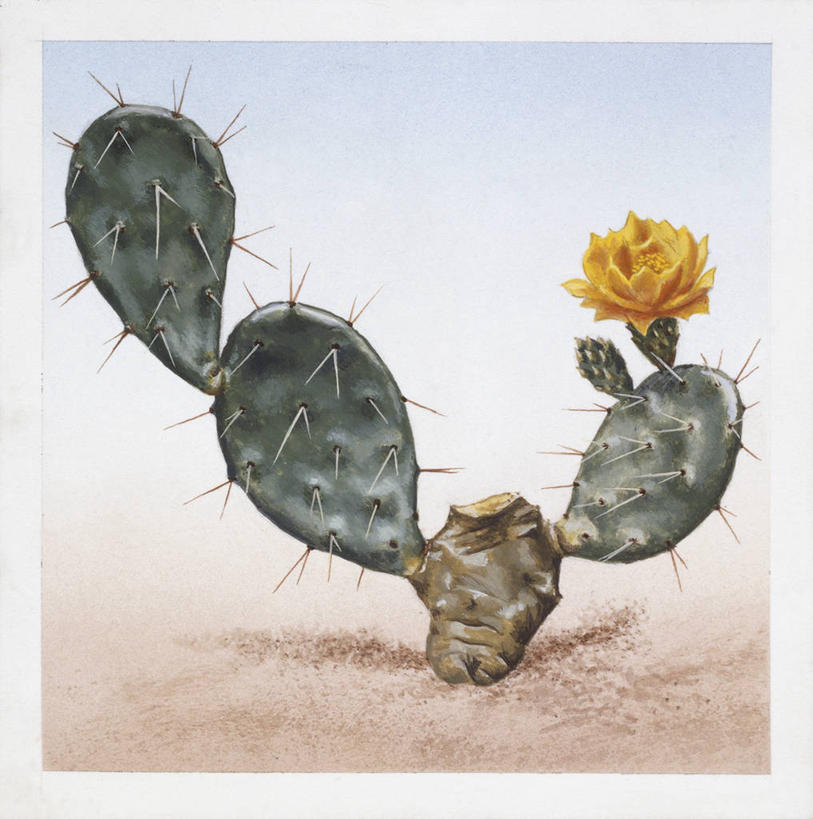 无人,竖图,方图,插画,室外,白天,数码,科技,仙人掌,阴影,科学,网络,高光,几何,计算机图形,合成,图画,画,花,花朵,自然,环境,电脑合成图,数码合成图,锋利,生物学,尖锐,合成图,荆棘,漫画,梨果仙人掌,写实,具体,具象,彩图,肉质植物