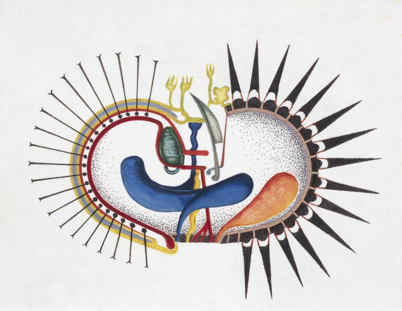 无人,横图,插画,白色背景,数码,科技,阴影,网络,高光,几何,计算机图形,合成,图画,海洋生物,无脊椎动物,画,电脑合成图,数码合成图,生物学,合成图,水生动物,横截面,水生物,棘皮动物,漫画,海底动物,写实,具体,具象,海百合,彩图,动物学