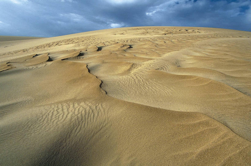 无人,横图,室外,白天,美景,沙漠,委内瑞拉,沙子,地形,景观,沙丘,风景,自然,景色,南美,摄影,气候,国家公园,自然风光,式样,法尔孔州,自然地理,彩图,旅行,郊野公园