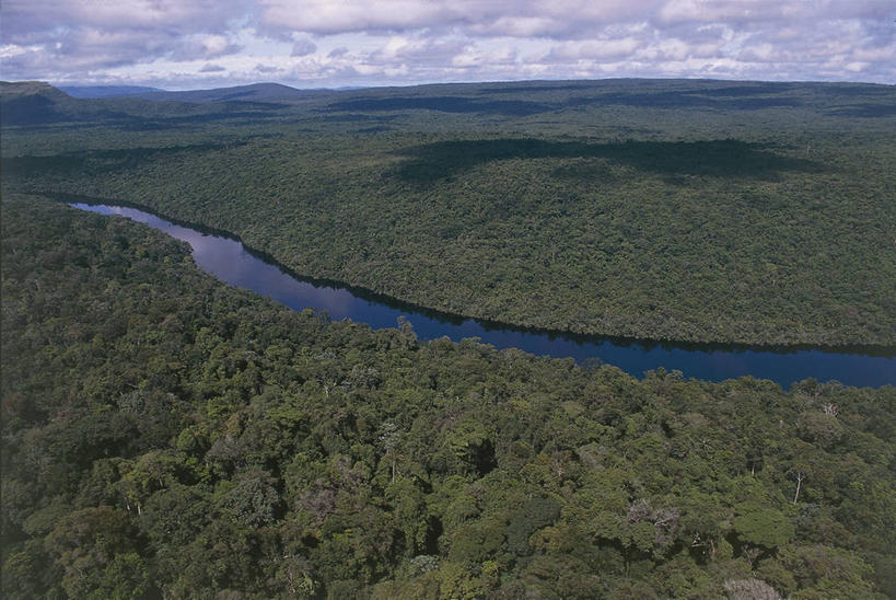 无人,横图,俯视,室外,白天,旅游,度假,河流,美景,森林,委内瑞拉,地平线,地形,景观,流水,辽阔,联合国,地面,娱乐,自然,享受,休闲,广阔,景色,南美,放松,摄影,一望无际,环境,国家公园,拉丁美洲,自然风光,延伸,天地相交,无边无际,一马平川,自然地理,彩图,高角度拍摄,旅行,联合国教科文组织,卡奈依马国家公园,郊野公园
