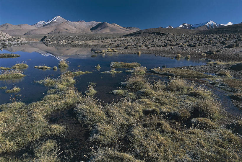 无人,横图,室外,白天,湖,火山,美景,山,山脉,智利,反射,地形,景观,联合国,风景,天空,自然,景色,南美,摄影,宁静,国家公园,自然风光,万里无云,安地斯山脉,朗卡国家公园,自然地理,活火山,彩图,联合国教科文组织,普特雷,郊野公园
